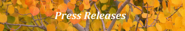PressReleases.jpg
